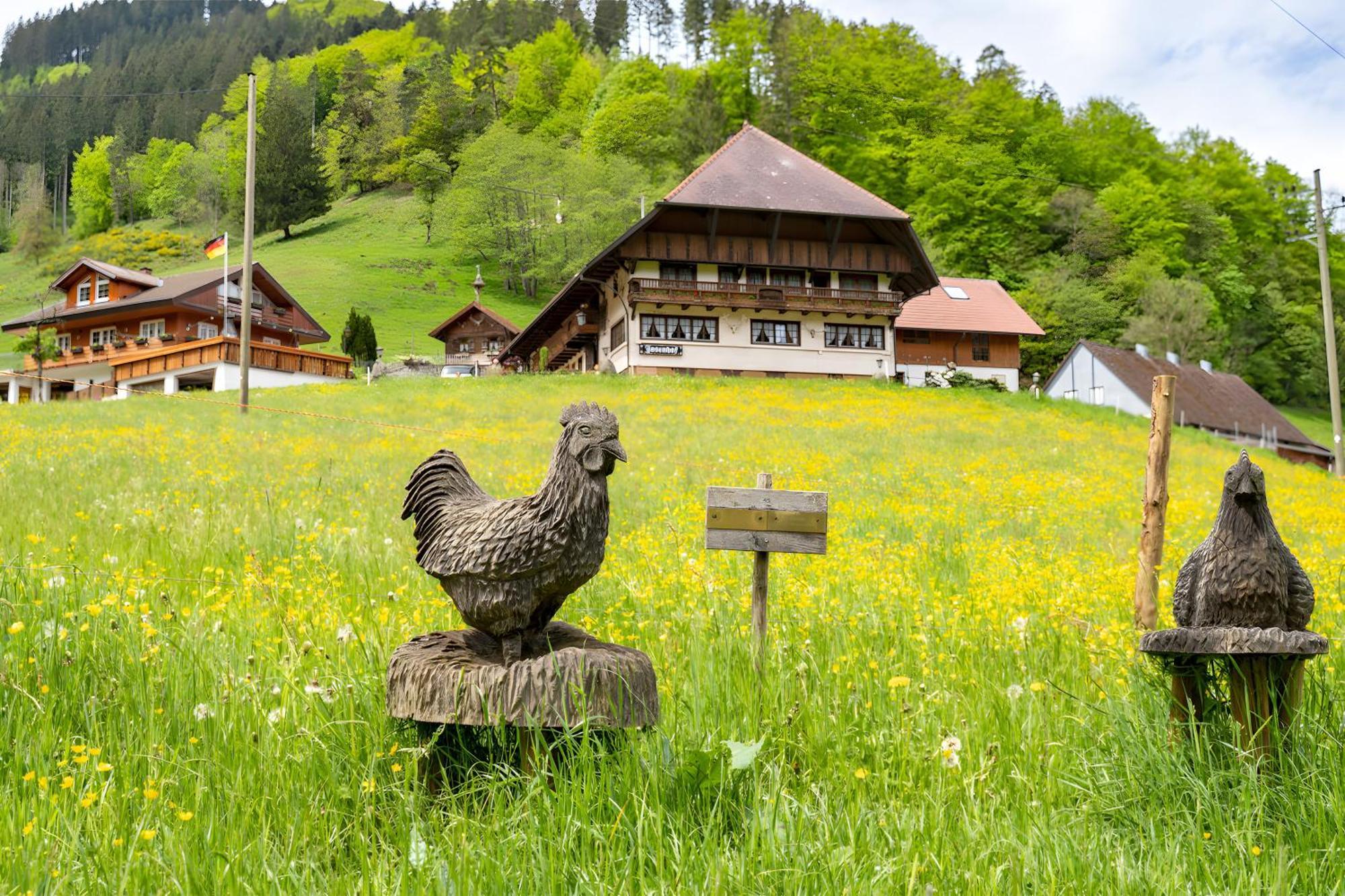 Josenhof Hotel Wolfach Bagian luar foto