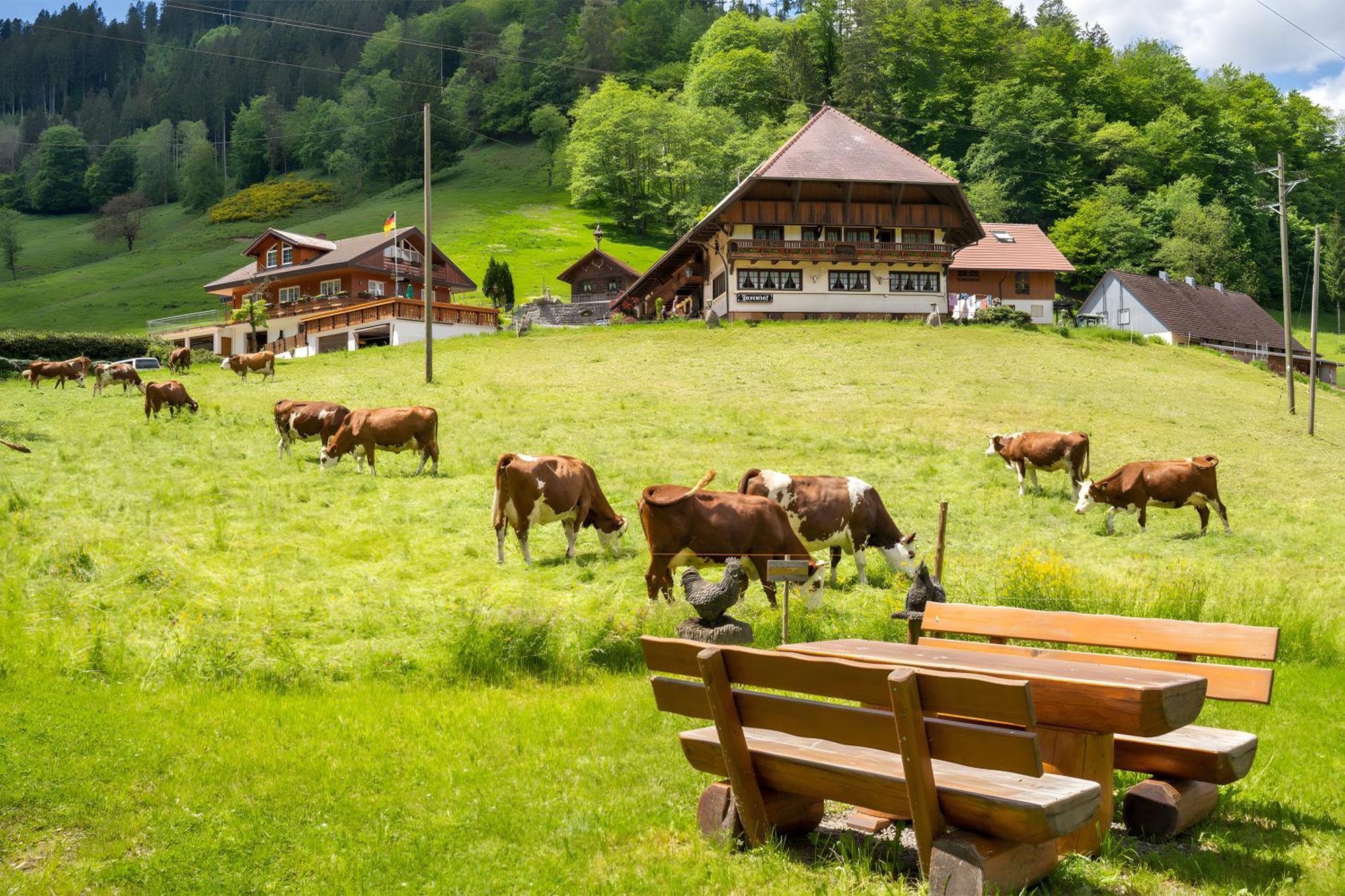 Josenhof Hotel Wolfach Bagian luar foto